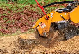 Best Tree and Shrub Care  in Charlotte Park, FL